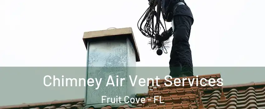  Chimney Air Vent Services Fruit Cove - FL