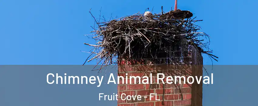  Chimney Animal Removal Fruit Cove - FL