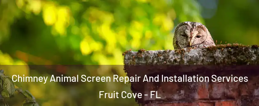  Chimney Animal Screen Repair And Installation Services Fruit Cove - FL