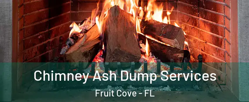  Chimney Ash Dump Services Fruit Cove - FL