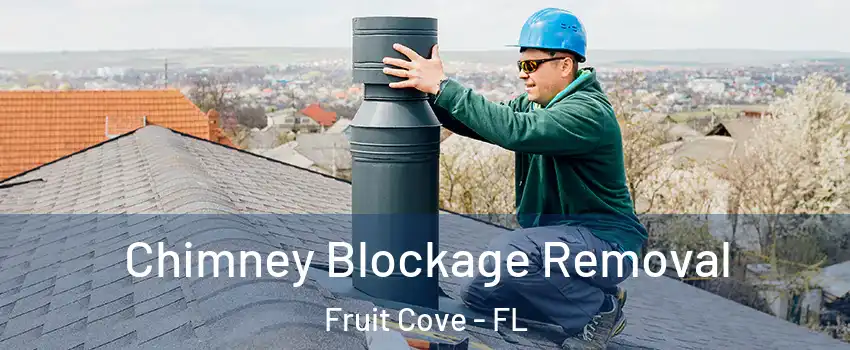  Chimney Blockage Removal Fruit Cove - FL