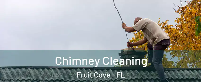  Chimney Cleaning Fruit Cove - FL