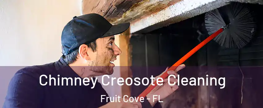  Chimney Creosote Cleaning Fruit Cove - FL
