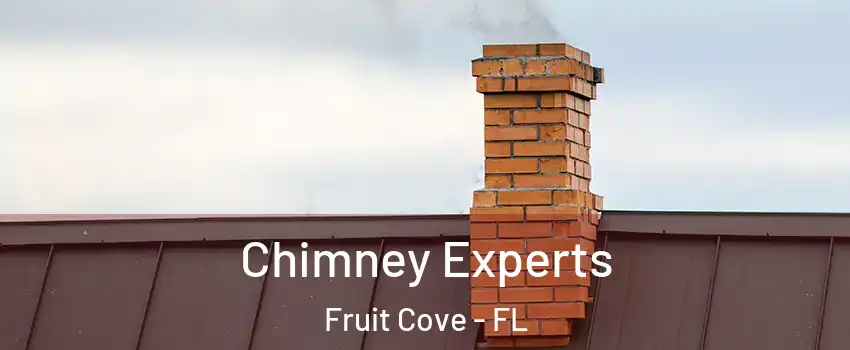  Chimney Experts Fruit Cove - FL