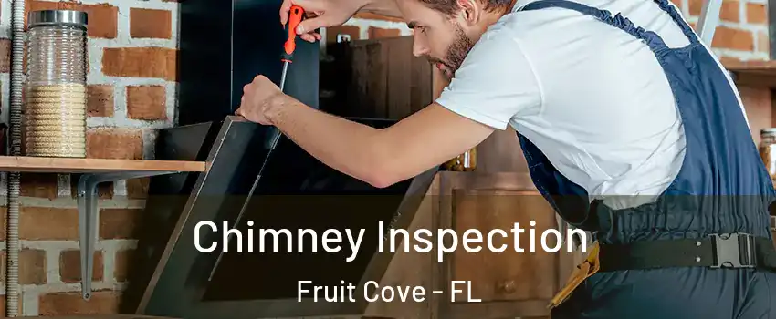  Chimney Inspection Fruit Cove - FL