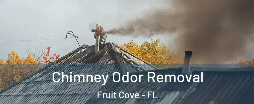  Chimney Odor Removal Fruit Cove - FL