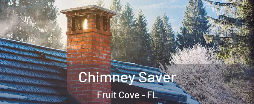  Chimney Saver Fruit Cove - FL