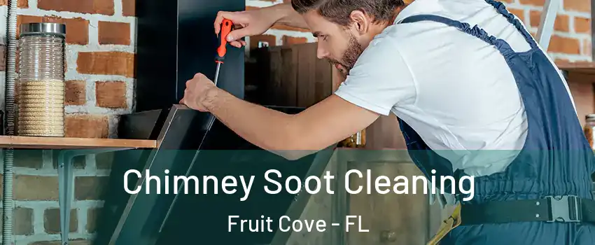  Chimney Soot Cleaning Fruit Cove - FL