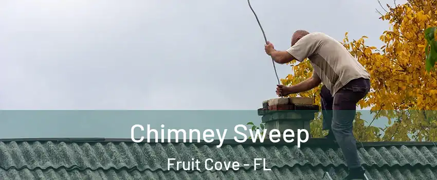  Chimney Sweep Fruit Cove - FL
