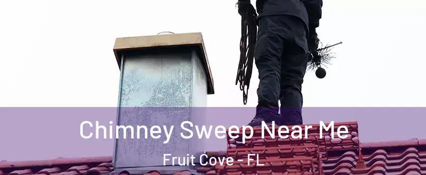  Chimney Sweep Near Me Fruit Cove - FL