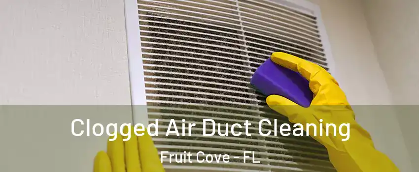  Clogged Air Duct Cleaning Fruit Cove - FL