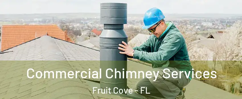 Commercial Chimney Services Fruit Cove - FL