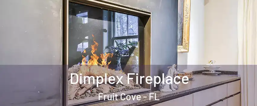  Dimplex Fireplace Fruit Cove - FL