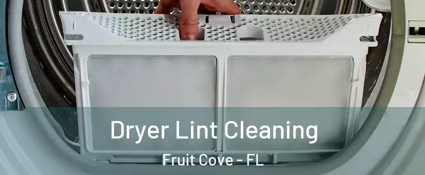  Dryer Lint Cleaning Fruit Cove - FL