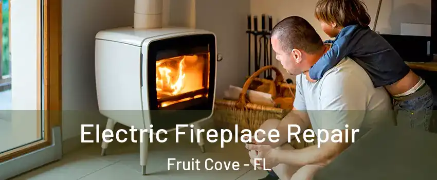  Electric Fireplace Repair Fruit Cove - FL