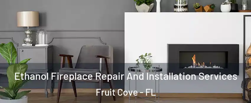  Ethanol Fireplace Repair And Installation Services Fruit Cove - FL