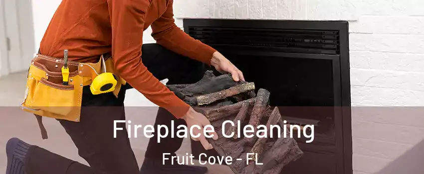  Fireplace Cleaning Fruit Cove - FL
