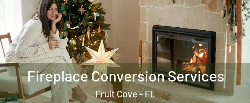  Fireplace Conversion Services Fruit Cove - FL