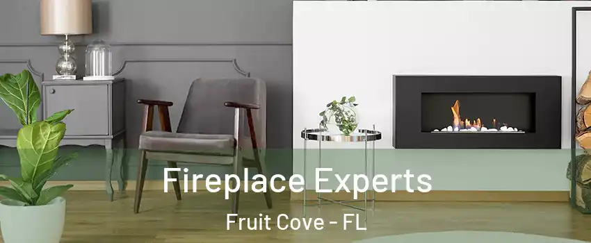  Fireplace Experts Fruit Cove - FL