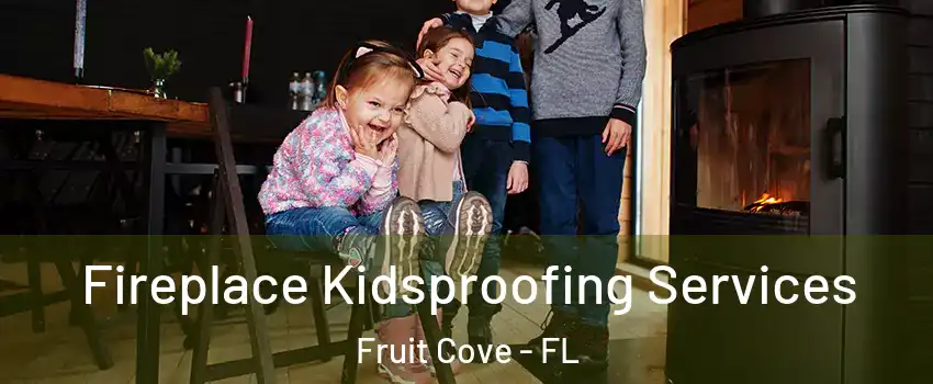  Fireplace Kidsproofing Services Fruit Cove - FL