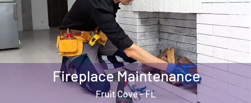  Fireplace Maintenance Fruit Cove - FL