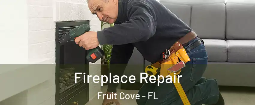 Fireplace Repair Fruit Cove - FL