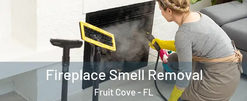  Fireplace Smell Removal Fruit Cove - FL