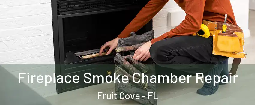  Fireplace Smoke Chamber Repair Fruit Cove - FL