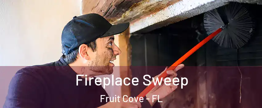  Fireplace Sweep Fruit Cove - FL