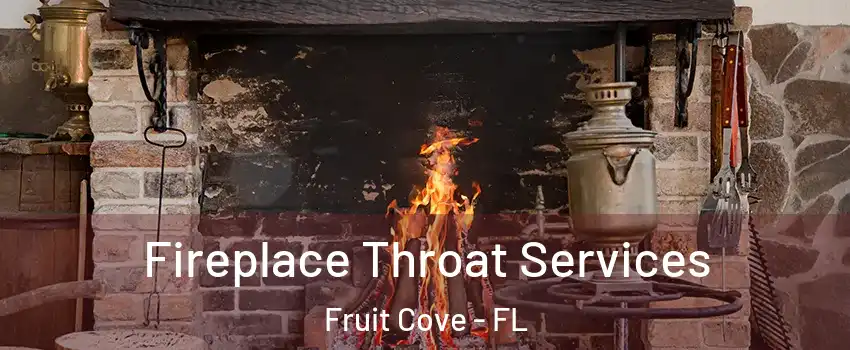  Fireplace Throat Services Fruit Cove - FL