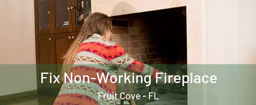  Fix Non-Working Fireplace Fruit Cove - FL