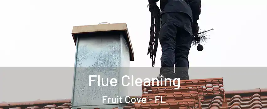  Flue Cleaning Fruit Cove - FL