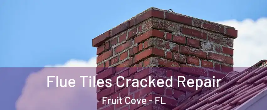  Flue Tiles Cracked Repair Fruit Cove - FL