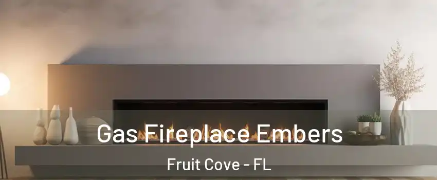  Gas Fireplace Embers Fruit Cove - FL