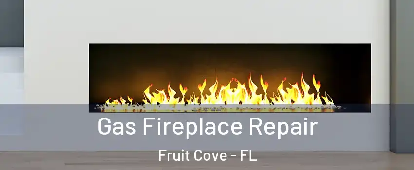  Gas Fireplace Repair Fruit Cove - FL