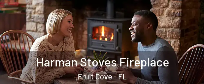  Harman Stoves Fireplace Fruit Cove - FL