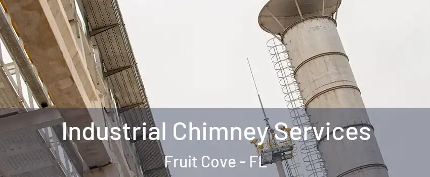  Industrial Chimney Services Fruit Cove - FL
