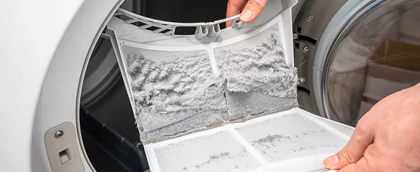 Best Dryer Lint Removal Company in Fruit Cove, Florida