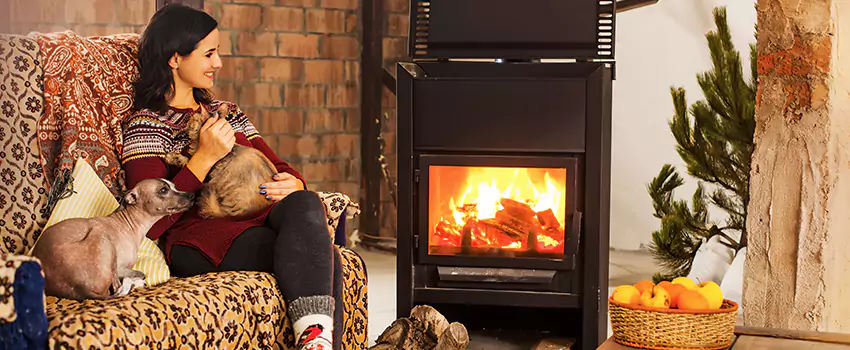 Wood Stove Chimney Cleaning Services in Fruit Cove, FL