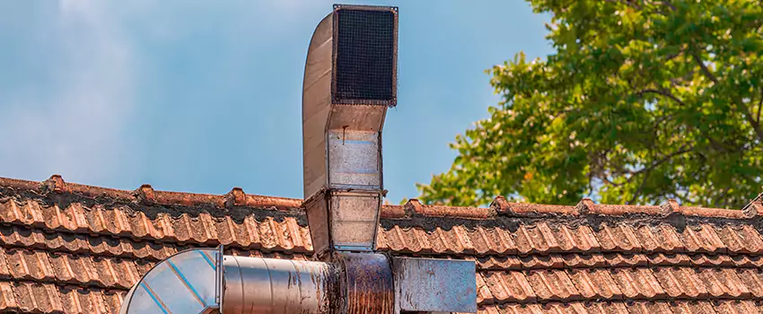 Chimney Blockage Removal in Fruit Cove, Florida