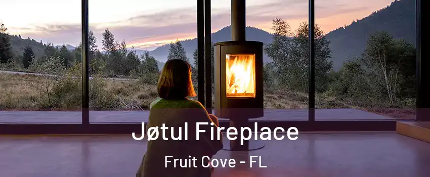  Jøtul Fireplace Fruit Cove - FL
