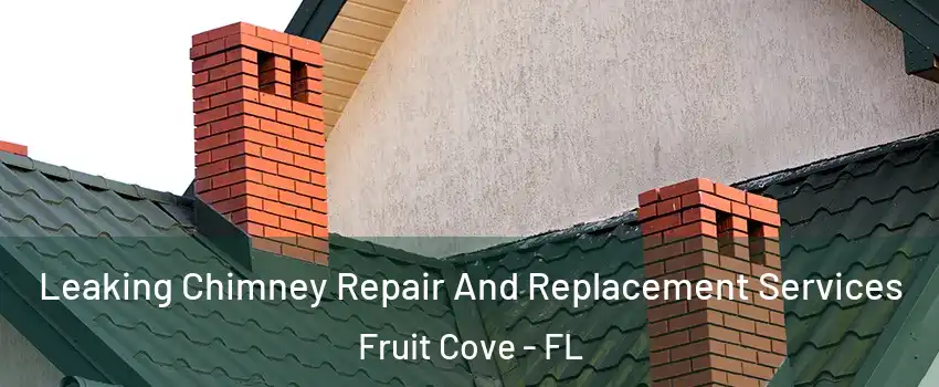  Leaking Chimney Repair And Replacement Services Fruit Cove - FL