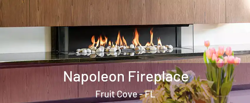  Napoleon Fireplace Fruit Cove - FL