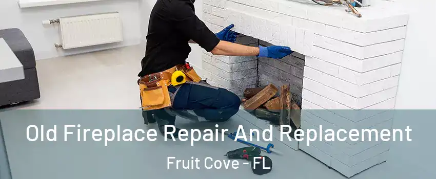  Old Fireplace Repair And Replacement Fruit Cove - FL