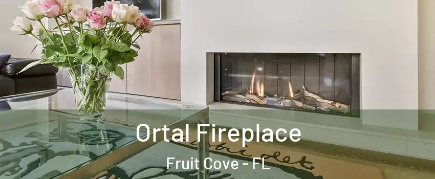  Ortal Fireplace Fruit Cove - FL