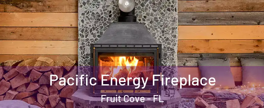  Pacific Energy Fireplace Fruit Cove - FL