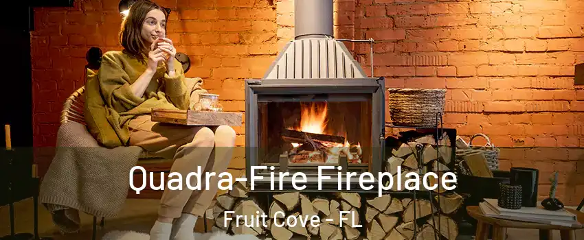  Quadra-Fire Fireplace Fruit Cove - FL