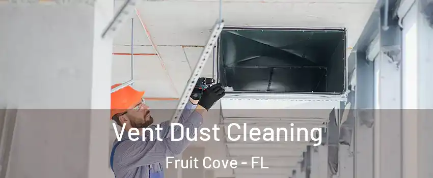  Vent Dust Cleaning Fruit Cove - FL