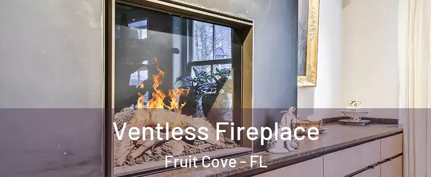  Ventless Fireplace Fruit Cove - FL