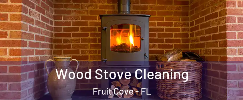  Wood Stove Cleaning Fruit Cove - FL